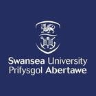 SWANSEA UNIVERSITY logo for MSc Data Science in United Kingdom — study abroad with Border & Bridges