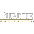 PURDUE UNIVERSITY - WEST LAFAYETTE logo for Bachelor of Science in Computer Science (Honors) – Programming Language in United States — study abroad with Border & Bridges
