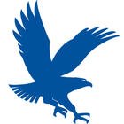 EMBRY-RIDDLE AERONAUTICAL UNIVERSITY logo for Bachelor of Science in Business Analytics in United States — study abroad with Border & Bridges